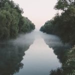 a body of water surrounded by trees and fog