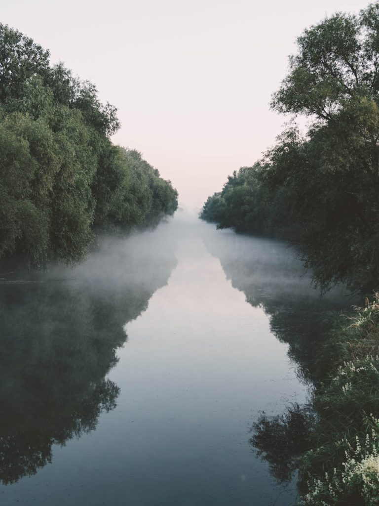 a body of water surrounded by trees and fog