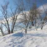 a person riding a snowboard down a snow covered slope